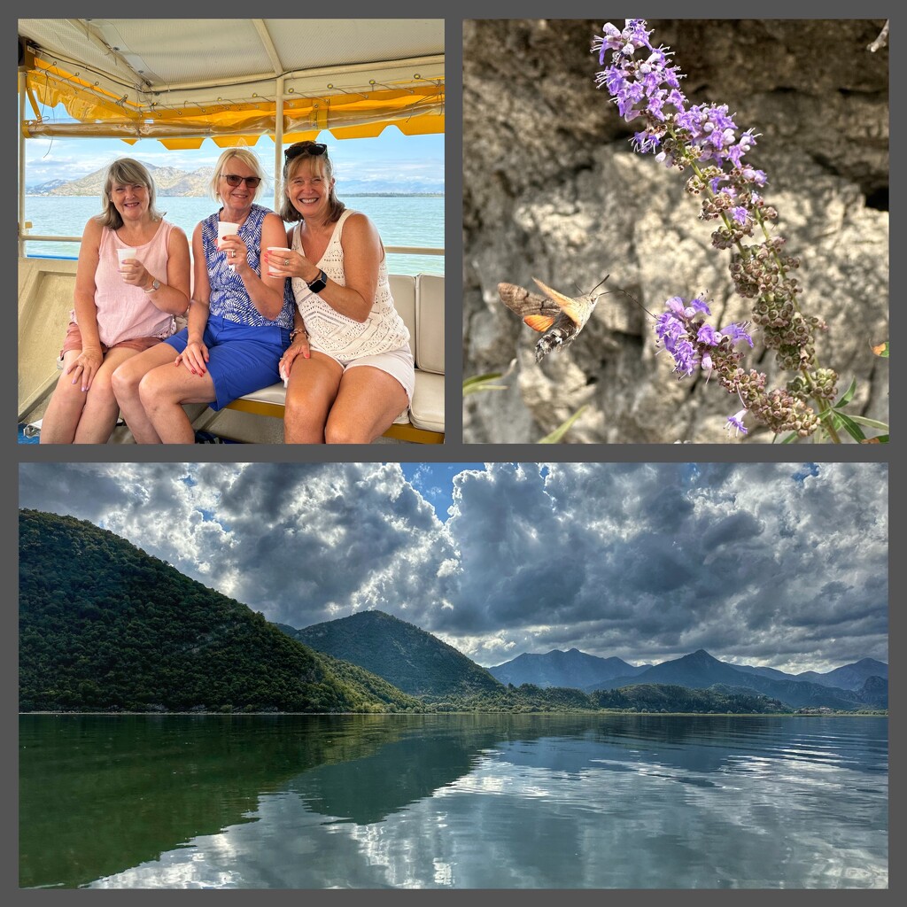 Skadar Lake Montenegro  by wendystout