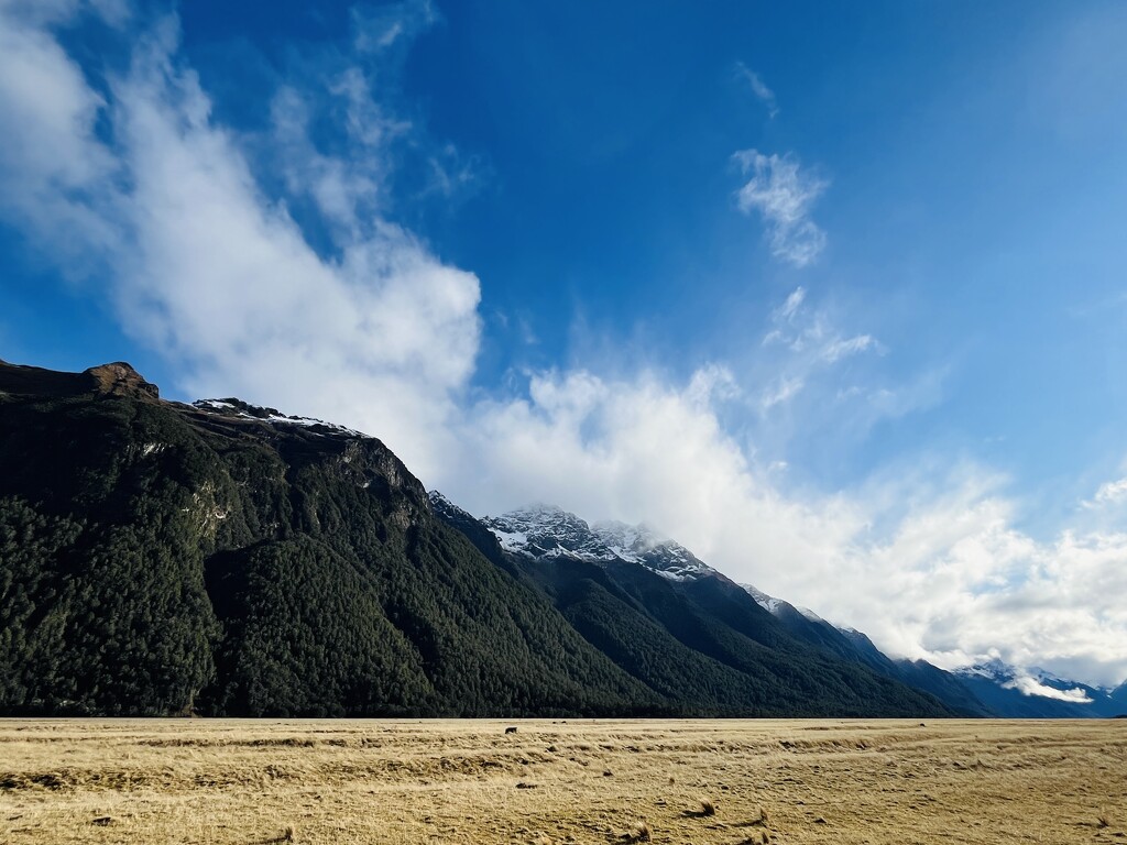 Fiordland  by sarahabrahamse