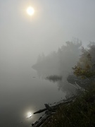 16th Sep 2024 - Foggy morning 