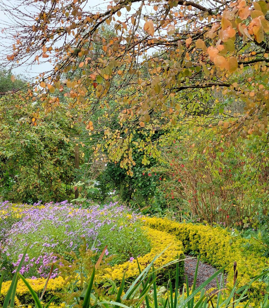 Autumn colour, Broughton House  by samcat