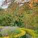 Autumn colour, Broughton House 