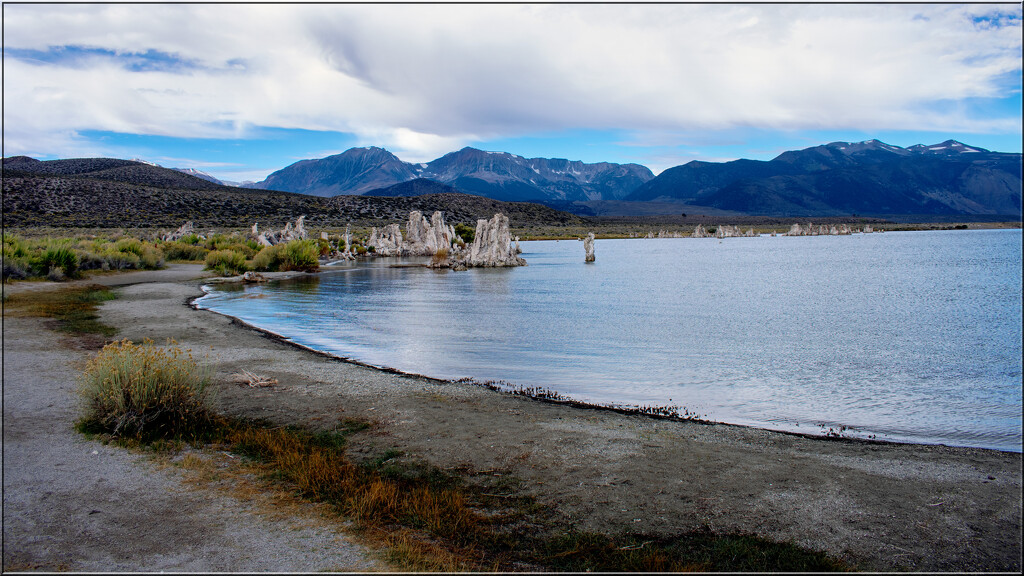 Mono Lake by 365projectorgchristine