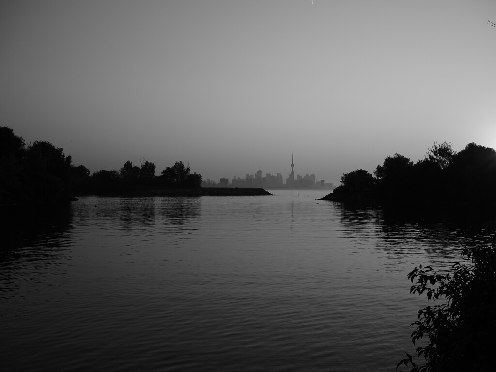 Another early morning cn tower sooc shot by northy