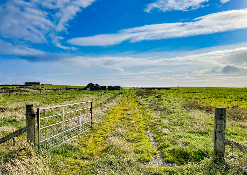 Open Gate by lifeat60degrees