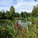 The Tarn at Holehird Gardens by susiemc