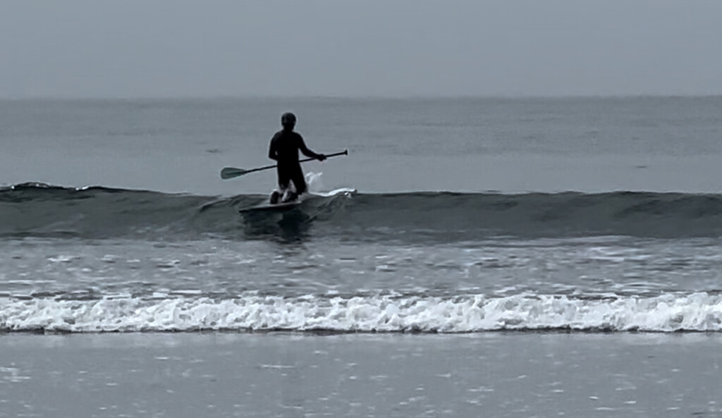 Paddle Boarder by pandorasecho