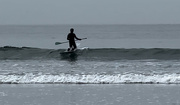 15th Sep 2024 - Paddle Boarder