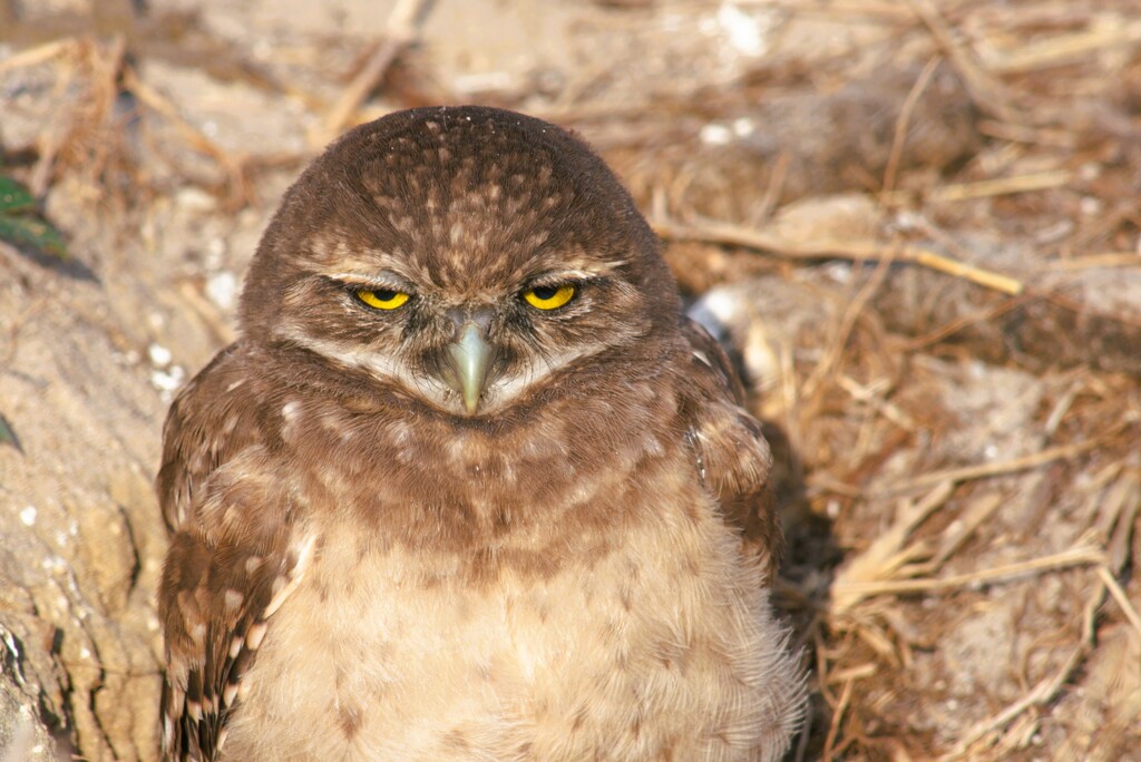 The Face You Make When Someone ... by photohoot