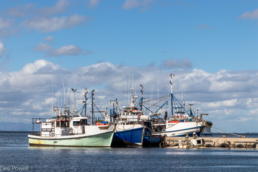 St Helena Bay by seacreature