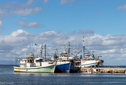 5th Sep 2024 - St Helena Bay