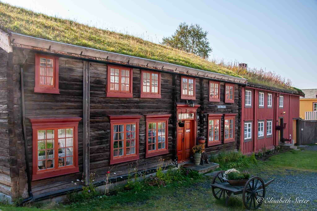 Old houses in Røros by elisasaeter