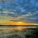 Marsh sunset  by congaree