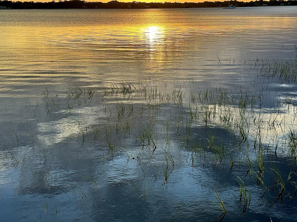 Marsh sunset at high tide by congaree