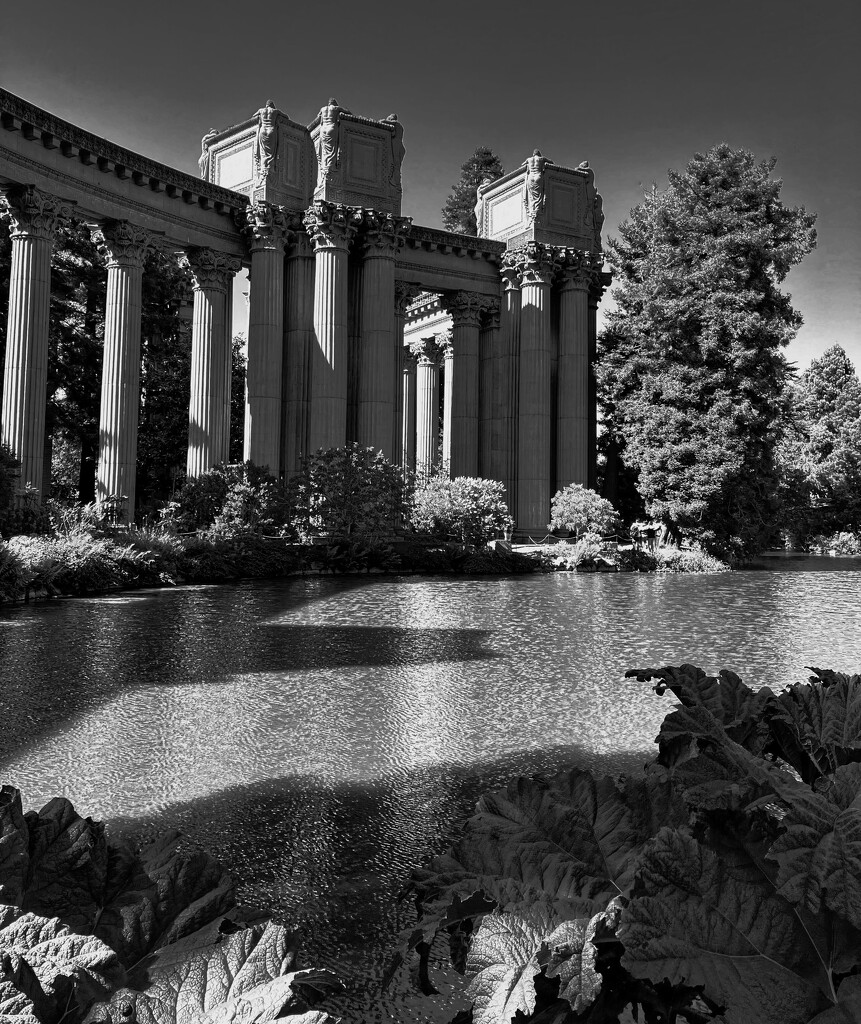 Palace of Fine Arts by joysabin