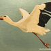 The Stork (painting)