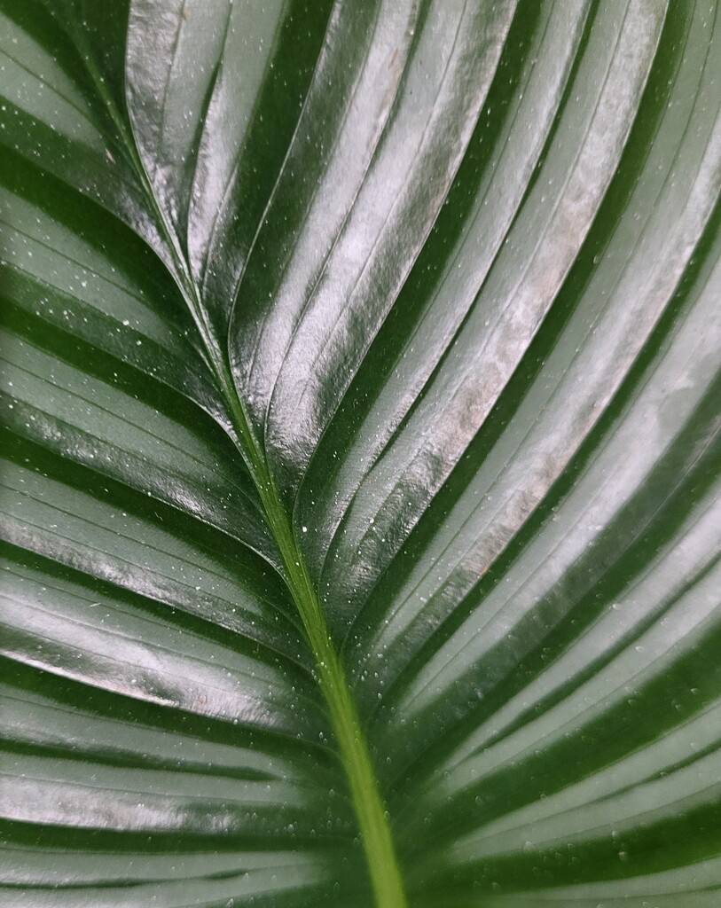 Leaf pattern by paulabriggs