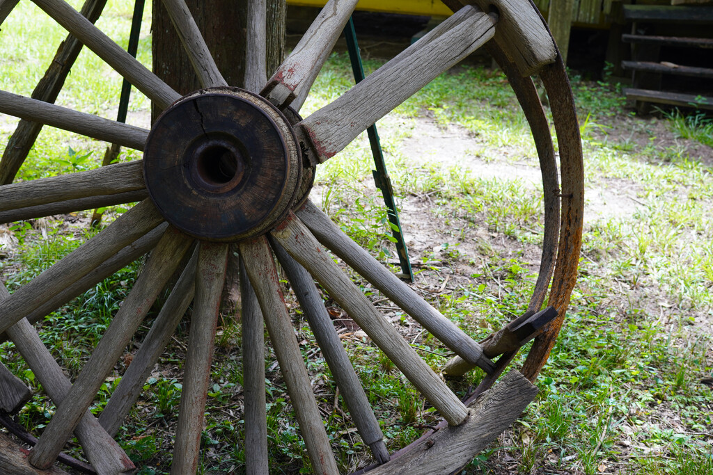 Wagon wheels by eudora