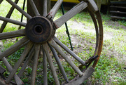 10th Sep 2024 - Wagon wheels