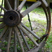 Wagon wheels by eudora