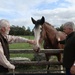 Father & Son by jamibann