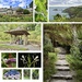 Gardens of Coleton Fishacre