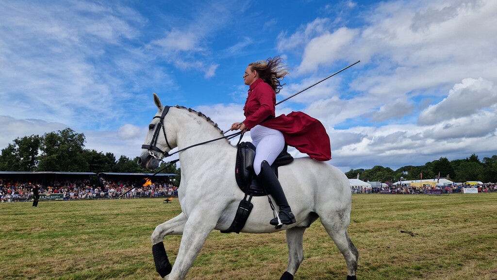 Spectacle of Equitation at the Glendale Show by bunnymadmeg