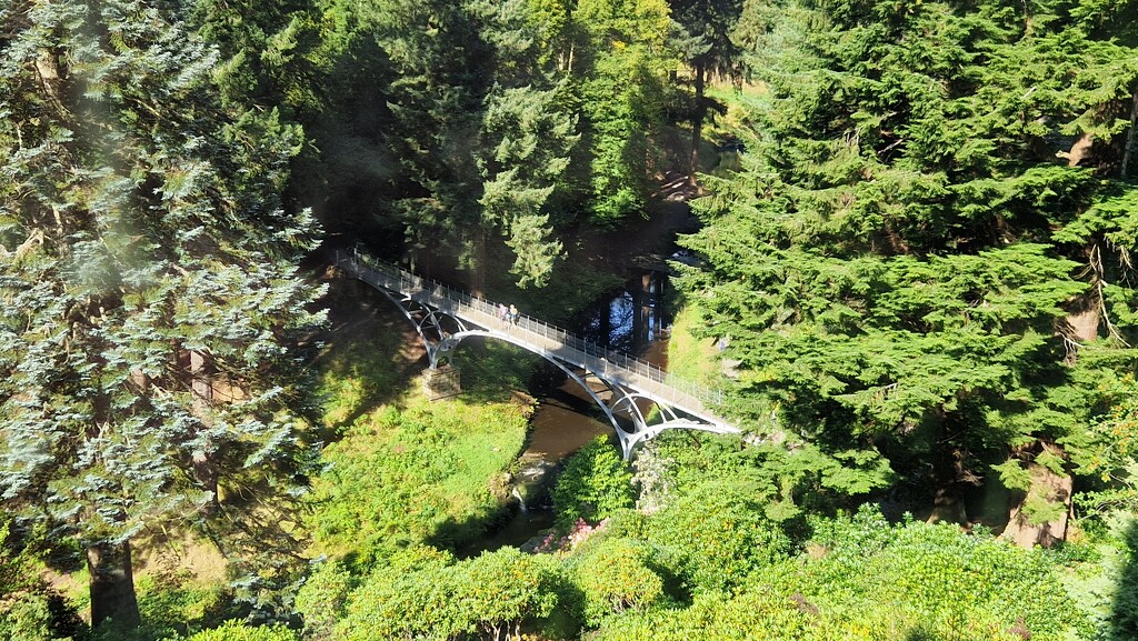 The Iron Bridge from the house, Cragside by bunnymadmeg