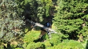 3rd Sep 2024 - The Iron Bridge from the house, Cragside