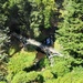 The Iron Bridge from the house, Cragside by bunnymadmeg