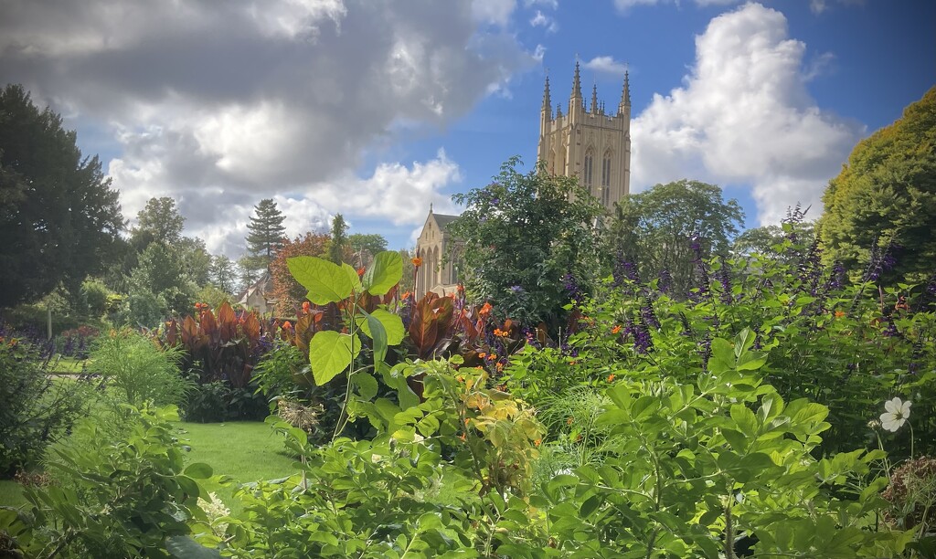 St Edmundsbury Cathedral, Bury St Edmunds  by g3xbm