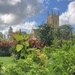 St Edmundsbury Cathedral, Bury St Edmunds  by g3xbm