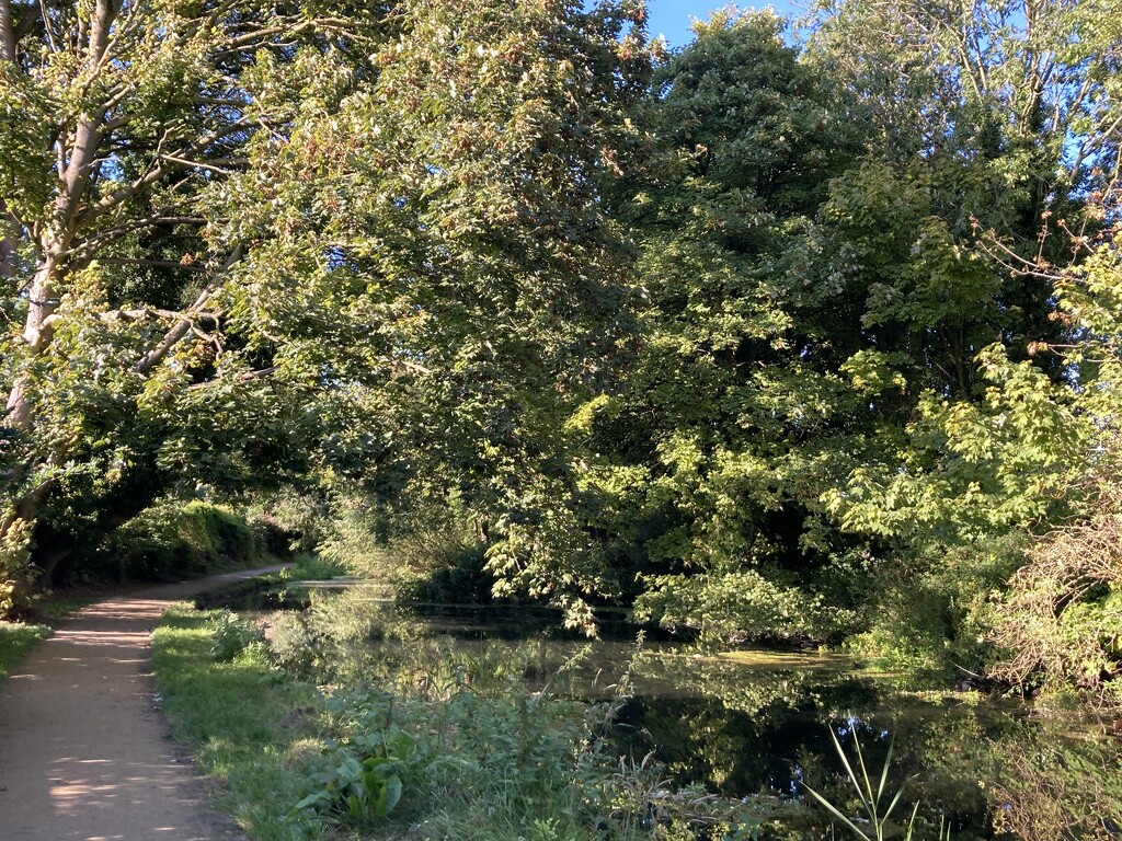 Afternoon Canal Walk  by cataylor41