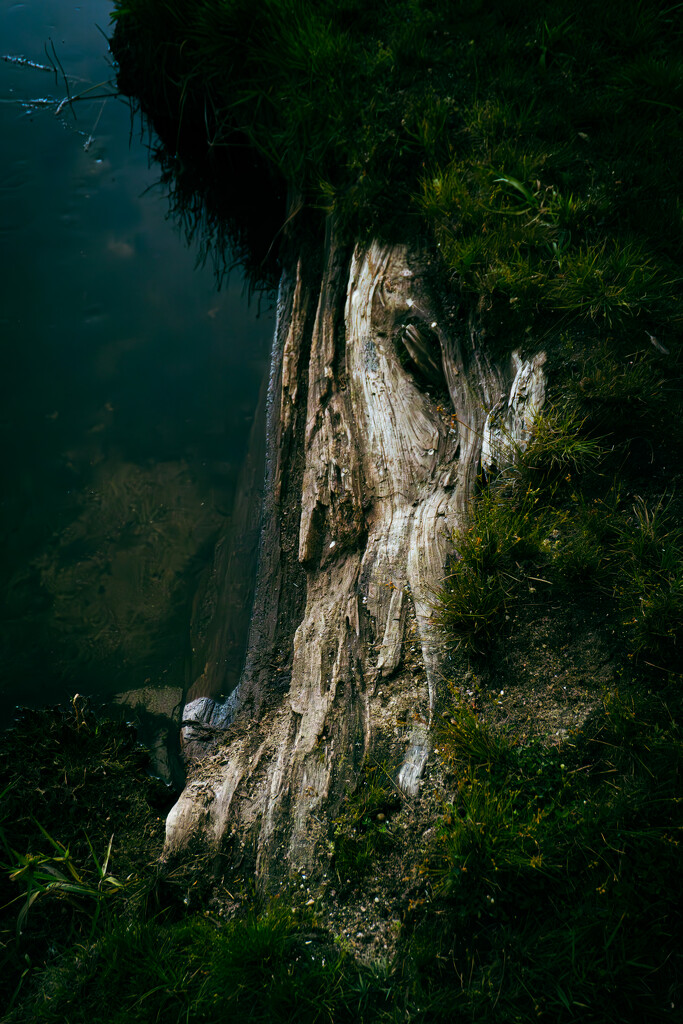 The Sleeping Riverbank by veronicalevchenko