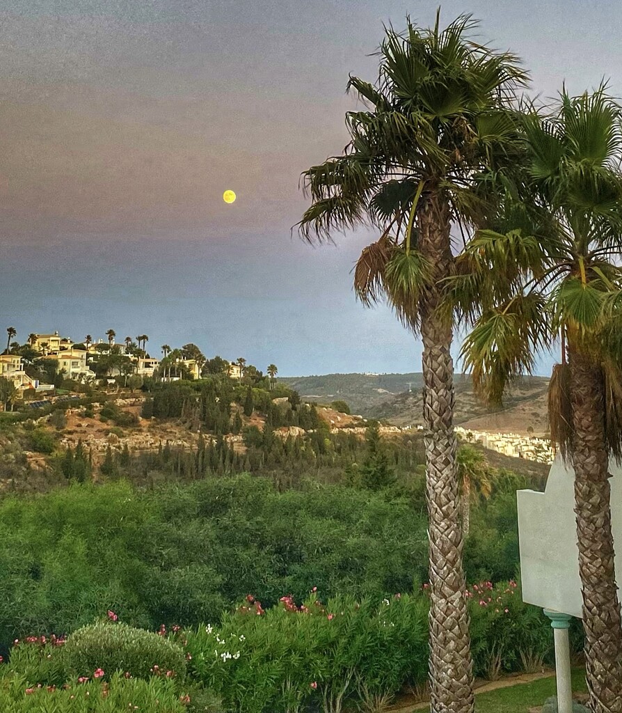 Algarve Evening Colours  by cmf