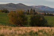 16th Sep 2024 - Montana Vista