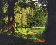 16th Sep 2024 - a view through the trees