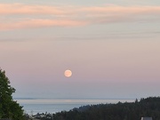 16th Sep 2024 - Moonrise