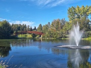 16th Sep 2024 - Strolling Through Stony Plain