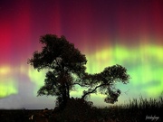 17th Sep 2024 - Aurora Borealis