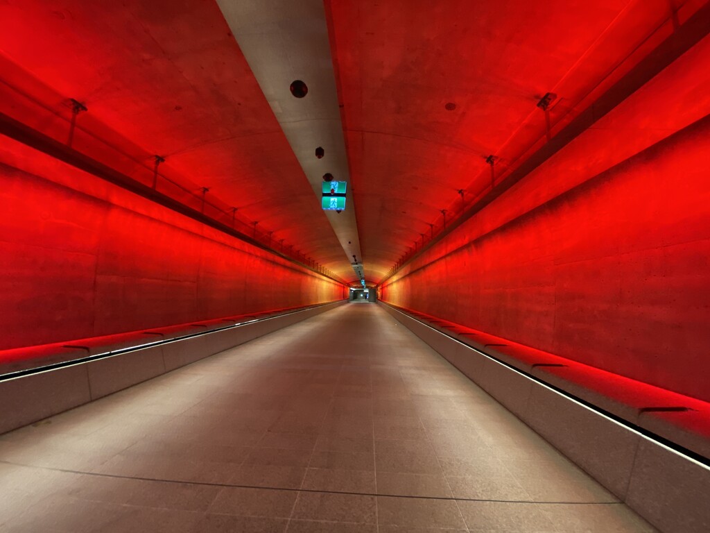 The new Gadigal Metro station pedestrian tunnel. The lights are ever changing colours.  by johnfalconer