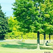 16th Sep 2024 - The Park Bench