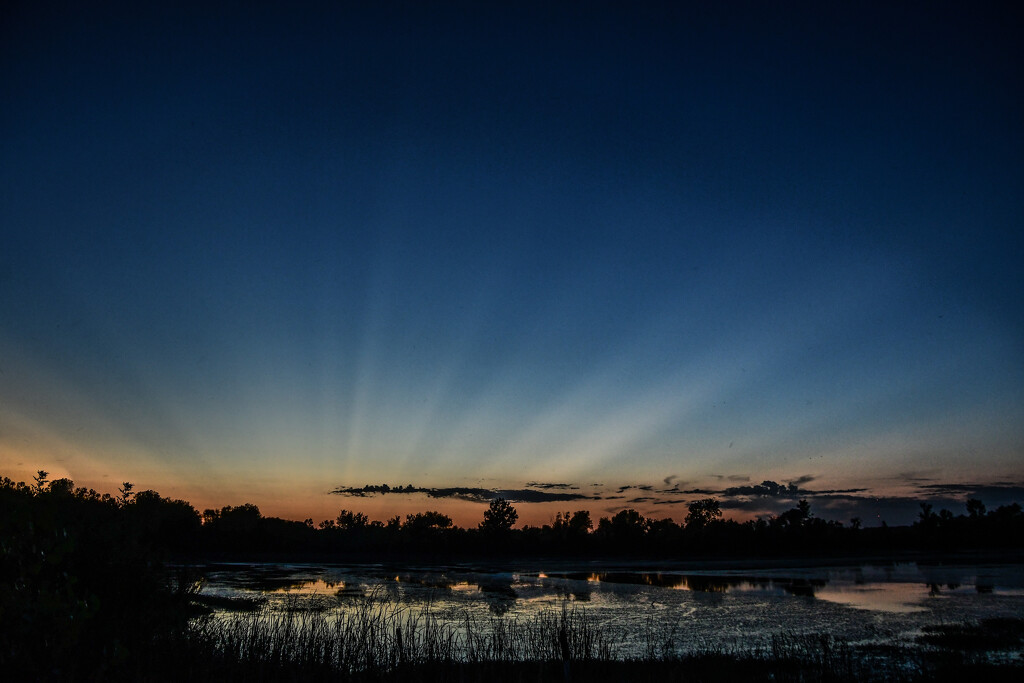 Blue Ray Dusk at the Baker Wetlands by kareenking