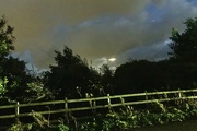 12th Sep 2024 - Hedgerow at night 