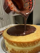 14th Sep 2024 - Boston Cream Pie