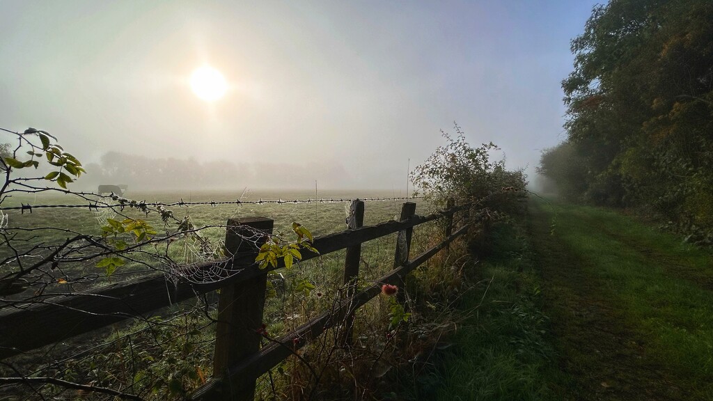 Misty Morning by carole_sandford