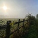 Misty Morning by carole_sandford