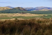 17th Sep 2024 - Looking into Scotland