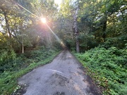 17th Sep 2024 - Day 351/366. Roe Woods. 