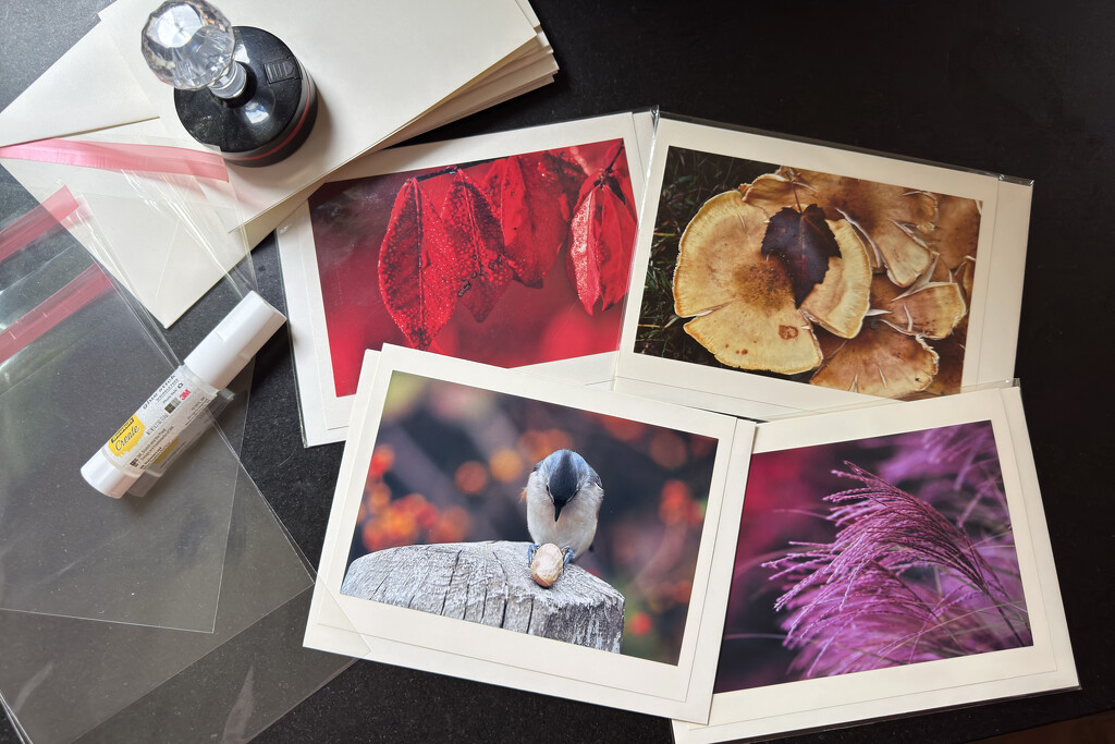 Autumn Photo Cards by berelaxed