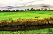 18th Sep 2024 - Countryside (painting)